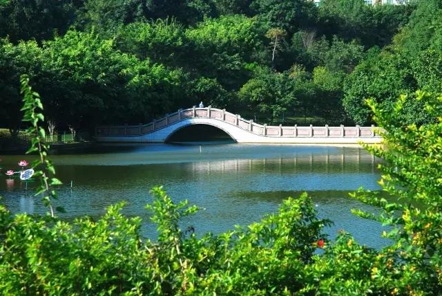 深圳旅游必去十大景点，深圳旅游必去的十大景点（这十个经典不能错过的地方）