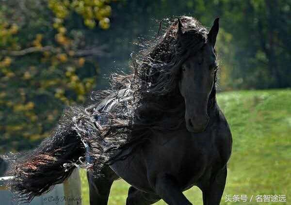 谨以此文的意思，如何快速成为森林骑士（献给2018省考前焦虑的你们）