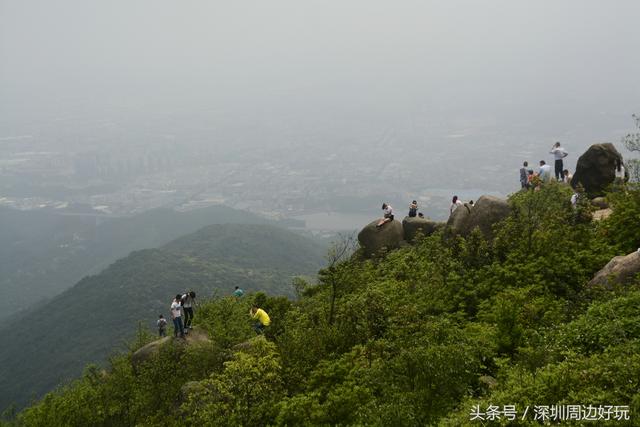 深圳凤凰山爬山指南，那深圳周边的这座海拔800