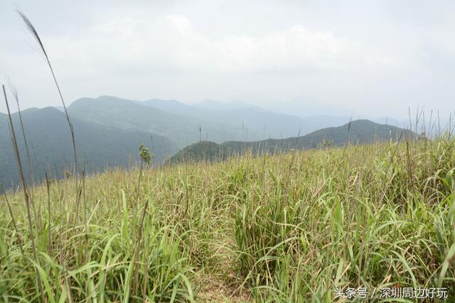 深圳凤凰山爬山指南，那深圳周边的这座海拔800