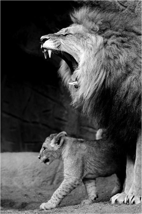 早安美图170422：心动都不是答案，心定才是