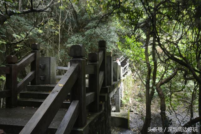 深圳凤凰山爬山指南，那深圳周边的这座海拔800