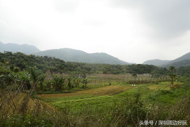 深圳凤凰山爬山指南，那深圳周边的这座海拔800