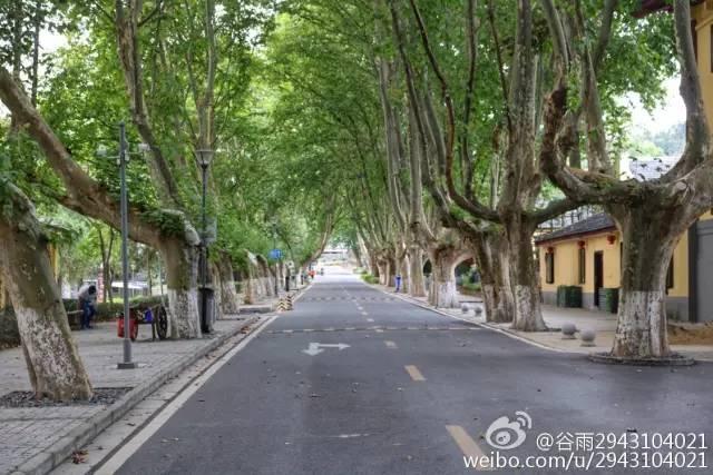 南京有什么玩的，南京最值得玩的景点有哪些免费的（南京6个很美的旅行地）