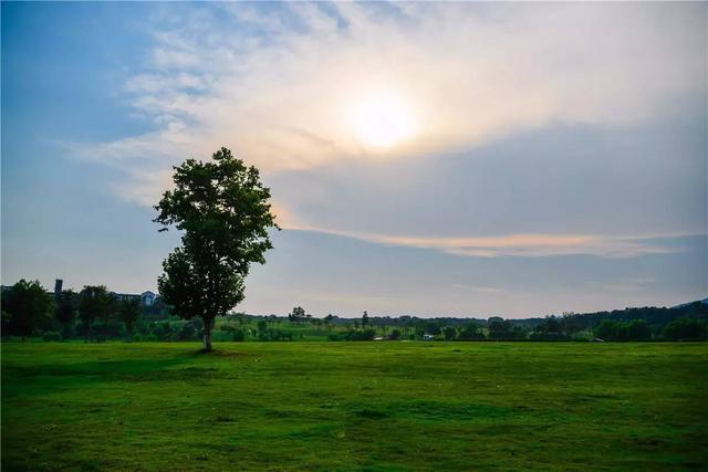 南京有什么玩的，南京最值得玩的景点有哪些免费的（南京6个很美的旅行地）