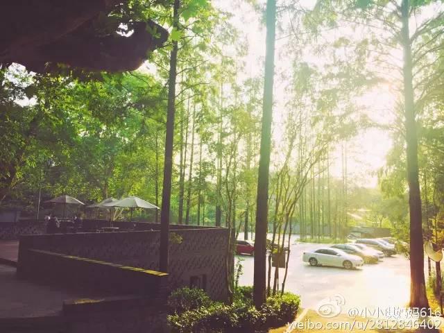 南京有什么玩的，南京最值得玩的景点有哪些免费的（南京6个很美的旅行地）