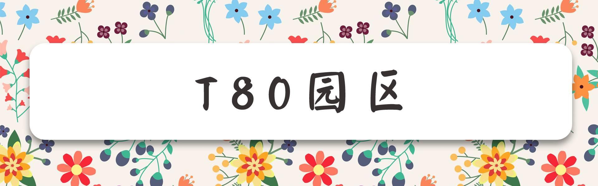 南京有什么玩的，南京最值得玩的景点有哪些免费的（南京6个很美的旅行地）