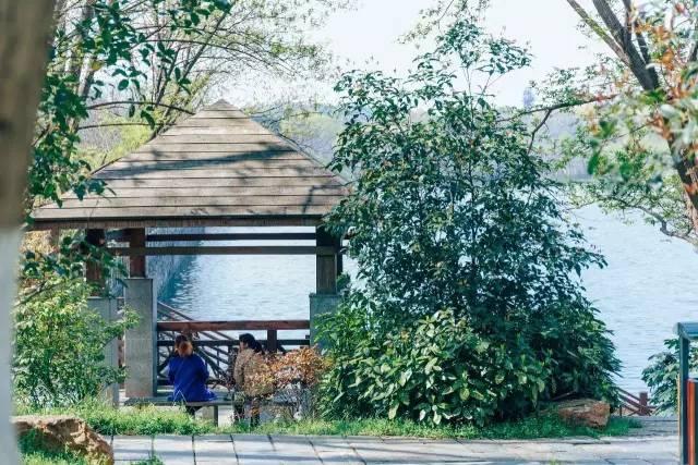 南京有什么玩的，南京最值得玩的景点有哪些免费的（南京6个很美的旅行地）