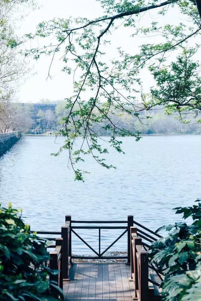 南京有什么玩的，南京最值得玩的景点有哪些免费的（南京6个很美的旅行地）