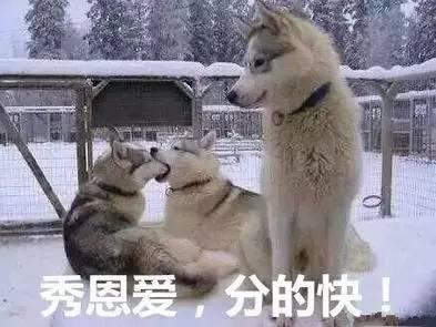 借装备正确秀恩爱，逼死单身狗