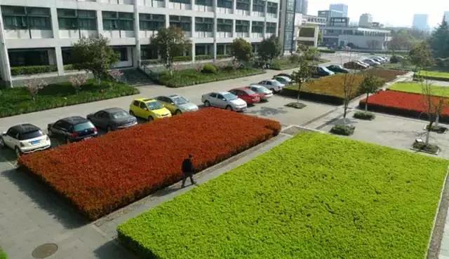 浙大紫金港校区历史系，生科院恋爱率最高历史系最爱健身