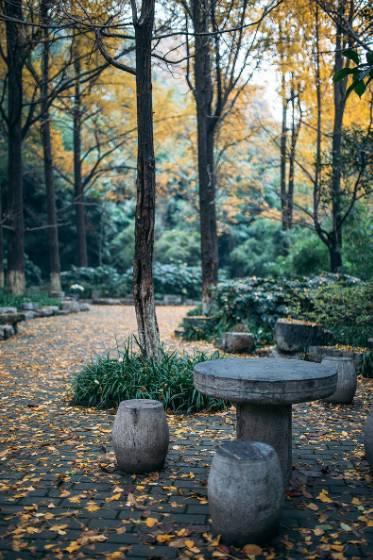 南京有什么玩的，南京最值得玩的景点有哪些免费的（南京6个很美的旅行地）