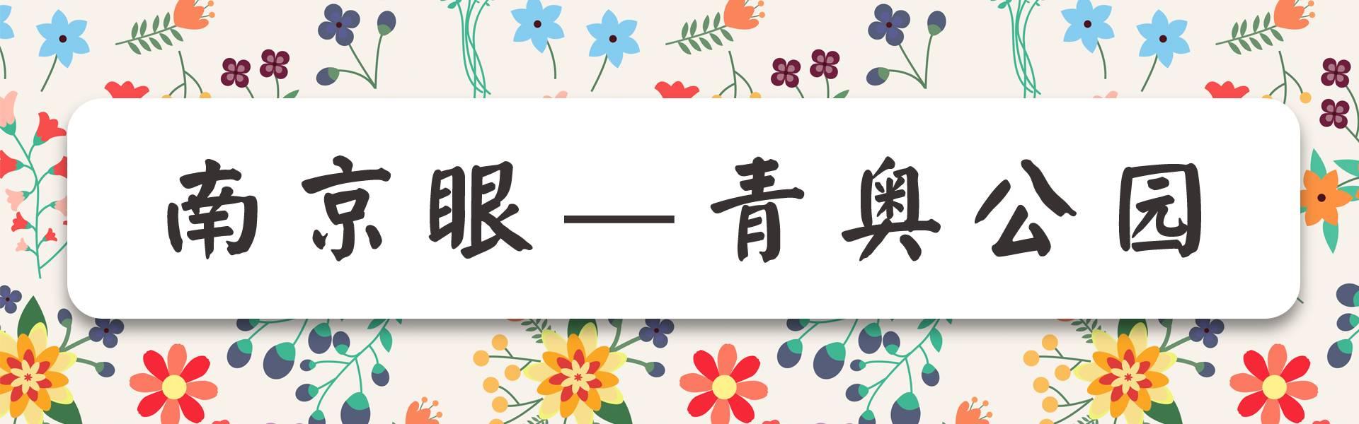 南京有什么玩的，南京最值得玩的景点有哪些免费的（南京6个很美的旅行地）