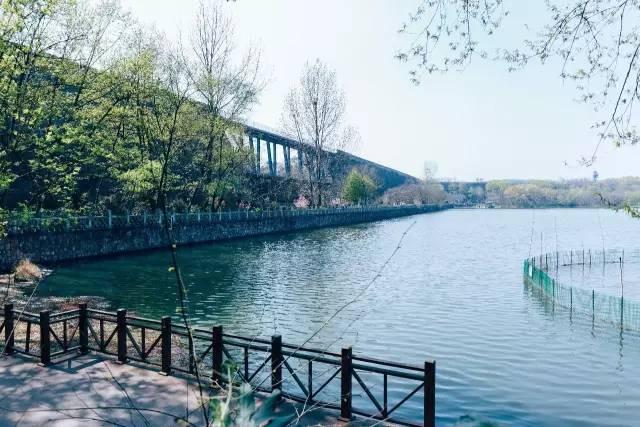 南京有什么玩的，南京最值得玩的景点有哪些免费的（南京6个很美的旅行地）