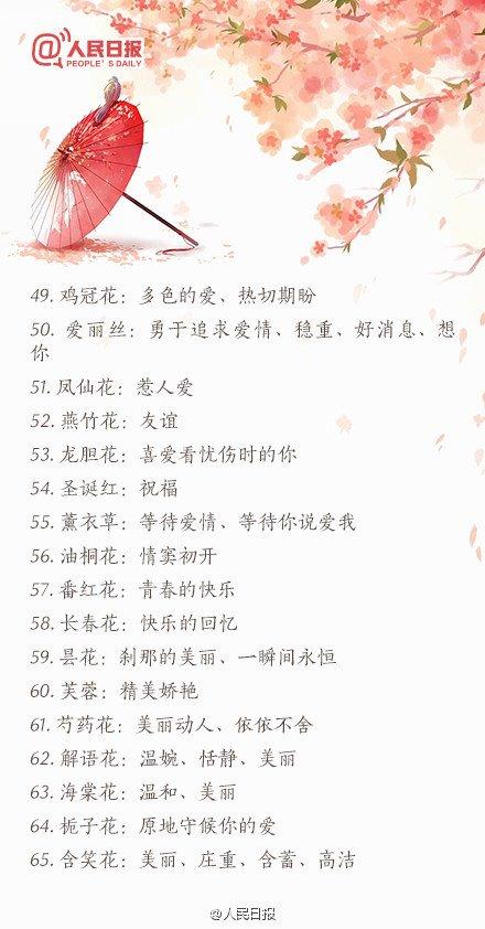 情人节送礼物2016情人节送花必备：100种鲜花花语大全