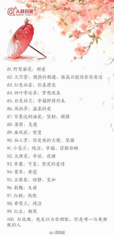 情人节送礼物2016情人节送花必备：100种鲜花花语大全