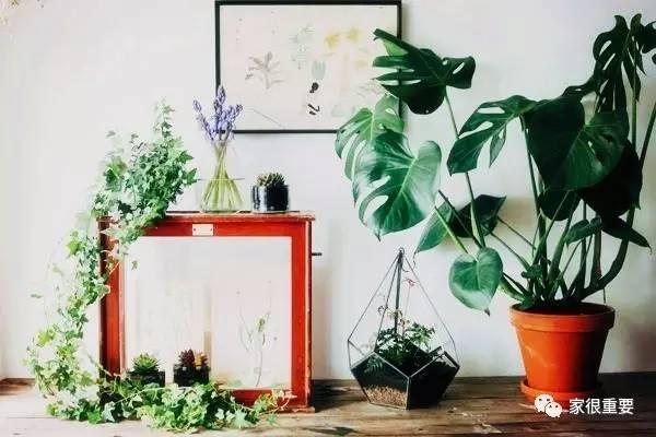 复古绿和浅绿色哪个更好看，刷爆西安时尚圈