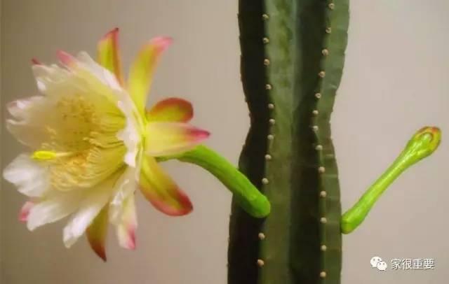 复古绿和浅绿色哪个更好看，刷爆西安时尚圈