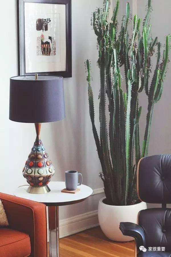 复古绿和浅绿色哪个更好看，刷爆西安时尚圈