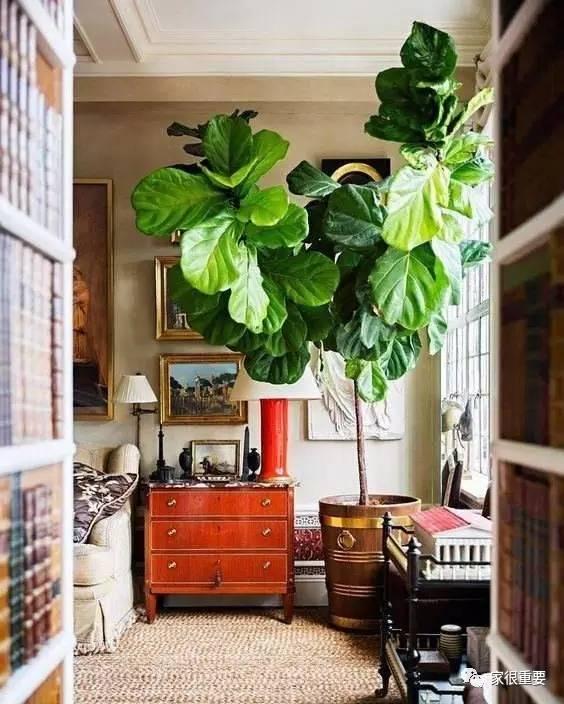 复古绿和浅绿色哪个更好看，刷爆西安时尚圈