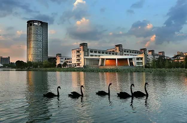 浙大紫金港校区历史系，生科院恋爱率最高历史系最爱健身