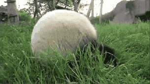 借装备正确秀恩爱，逼死单身狗