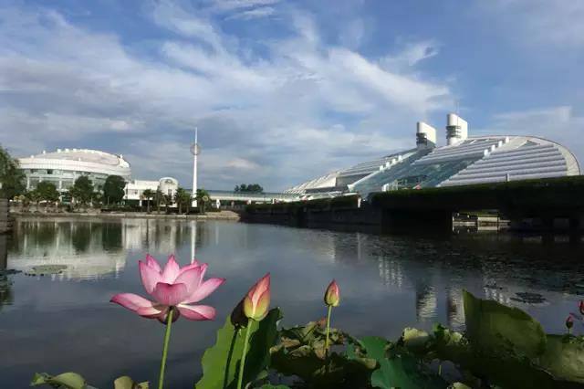 浙江大学紫金港校区，浙大紫金港校区最新消息（组图回顾浙大紫金港校区前世今生）