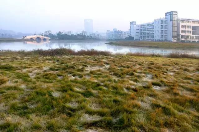 浙大紫金港校区历史系，生科院恋爱率最高历史系最爱健身