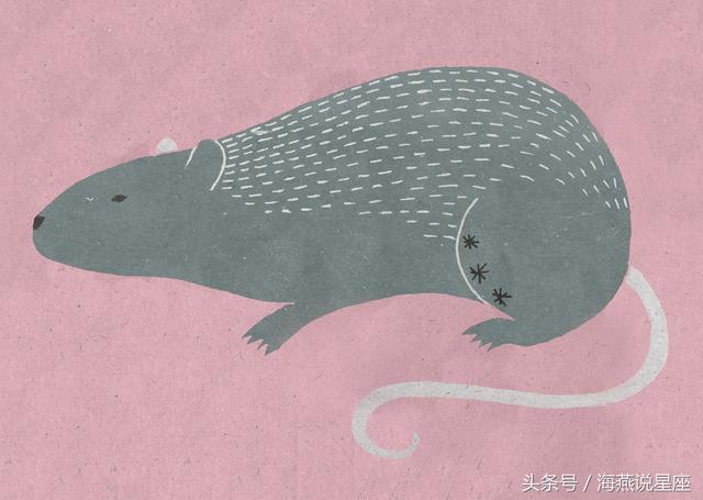 十二生肖谁最凶残，十二生肖最凶残的生肖（一句话总结十二生肖最暗黑的一面）