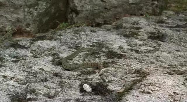 关于春夏电影推荐，春夏秋冬又一春豆瓣评分8.5