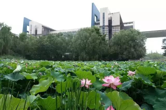 浙江大学紫金港校区，浙大紫金港校区最新消息（组图回顾浙大紫金港校区前世今生）