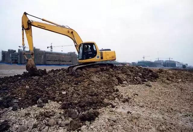 浙大紫金港校区历史系，生科院恋爱率最高历史系最爱健身