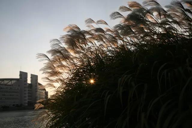 浙大紫金港校区历史系，生科院恋爱率最高历史系最爱健身