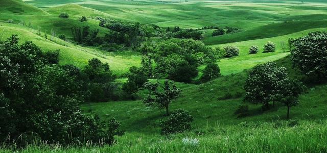 过去进行时例句，英语过去进行时例句简单