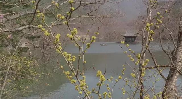 关于春夏电影推荐，春夏秋冬又一春豆瓣评分8.5