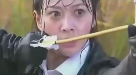 蒋欣演的电视剧，蒋欣主演抗日电视剧有哪些（蒋欣出演的抗日神剧）