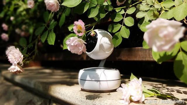 萤石摄像头测评最新，科技便利你的生活