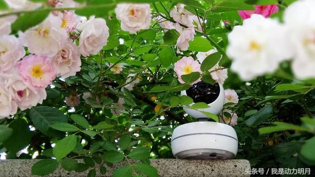 萤石摄像头测评最新，科技便利你的生活