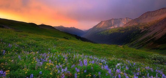 过去进行时例句，英语过去进行时例句简单