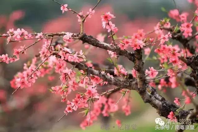 清远连州十大景点大全，清远这10个宝藏景点