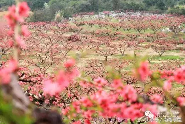 清远连州十大景点大全，清远这10个宝藏景点