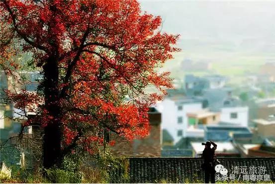 清远连州十大景点大全，清远这10个宝藏景点