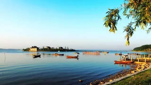 菏泽市旅游景点，山东菏泽有什么景点（看看菏泽有哪些绝佳打卡地）