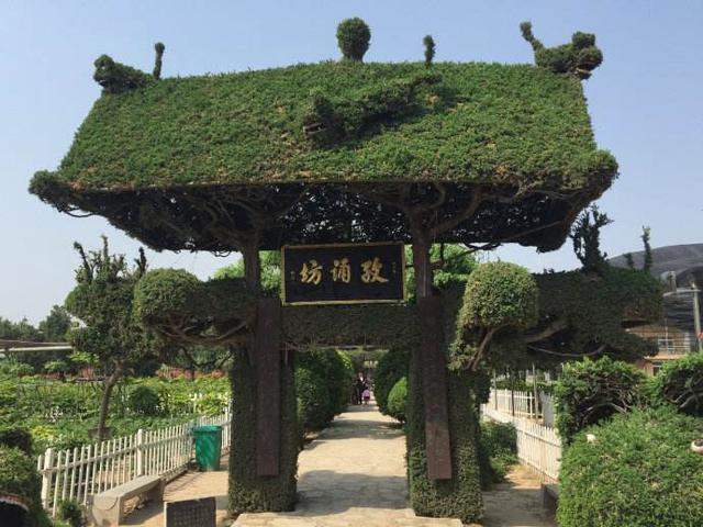 菏泽市旅游景点，山东菏泽有什么景点（看看菏泽有哪些绝佳打卡地）