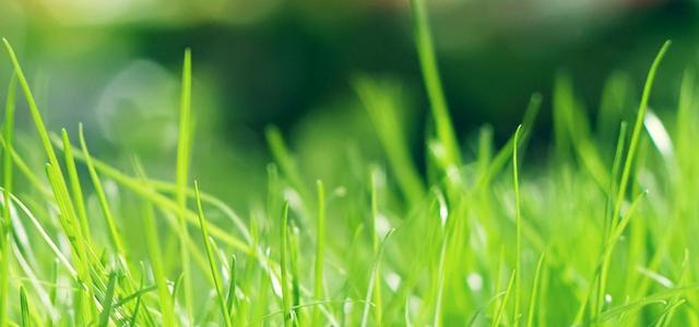 过去进行时例句，英语过去进行时例句简单