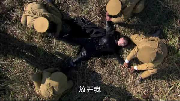 蒋欣演的电视剧，蒋欣主演抗日电视剧有哪些（蒋欣出演的抗日神剧）