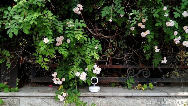 萤石摄像头测评最新，科技便利你的生活