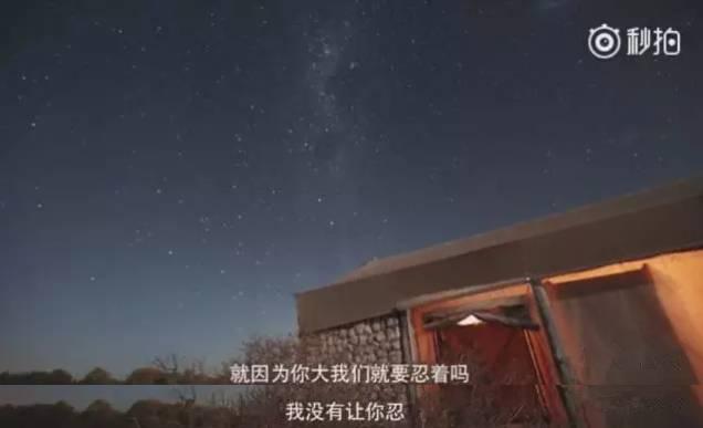 花少3人物排名，《花少3》娜扎江疏影陈柏霖张若昀现身