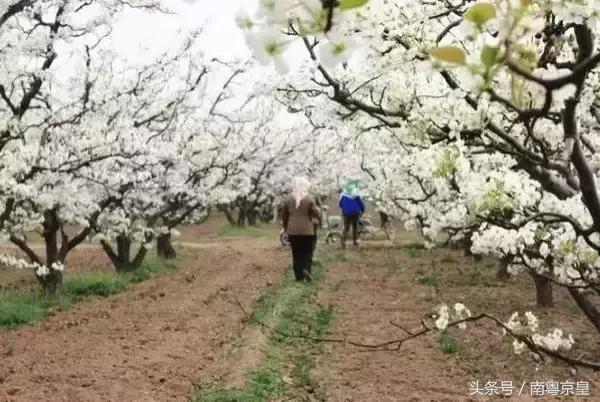 清远连州十大景点大全，清远这10个宝藏景点