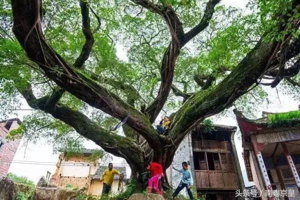 清远连州十大景点大全，清远这10个宝藏景点